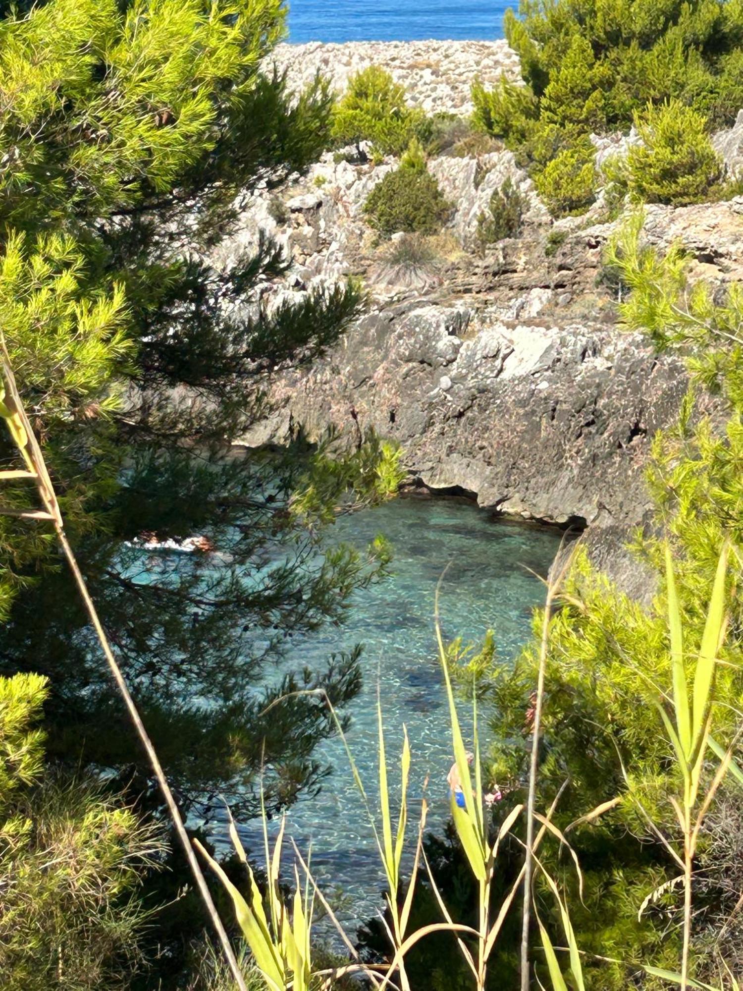 Case Vacanza Da Domingo Marina di Camerota Kültér fotó